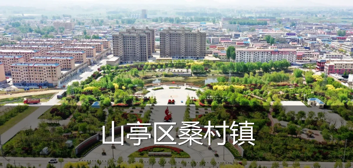 山亭区桑村镇